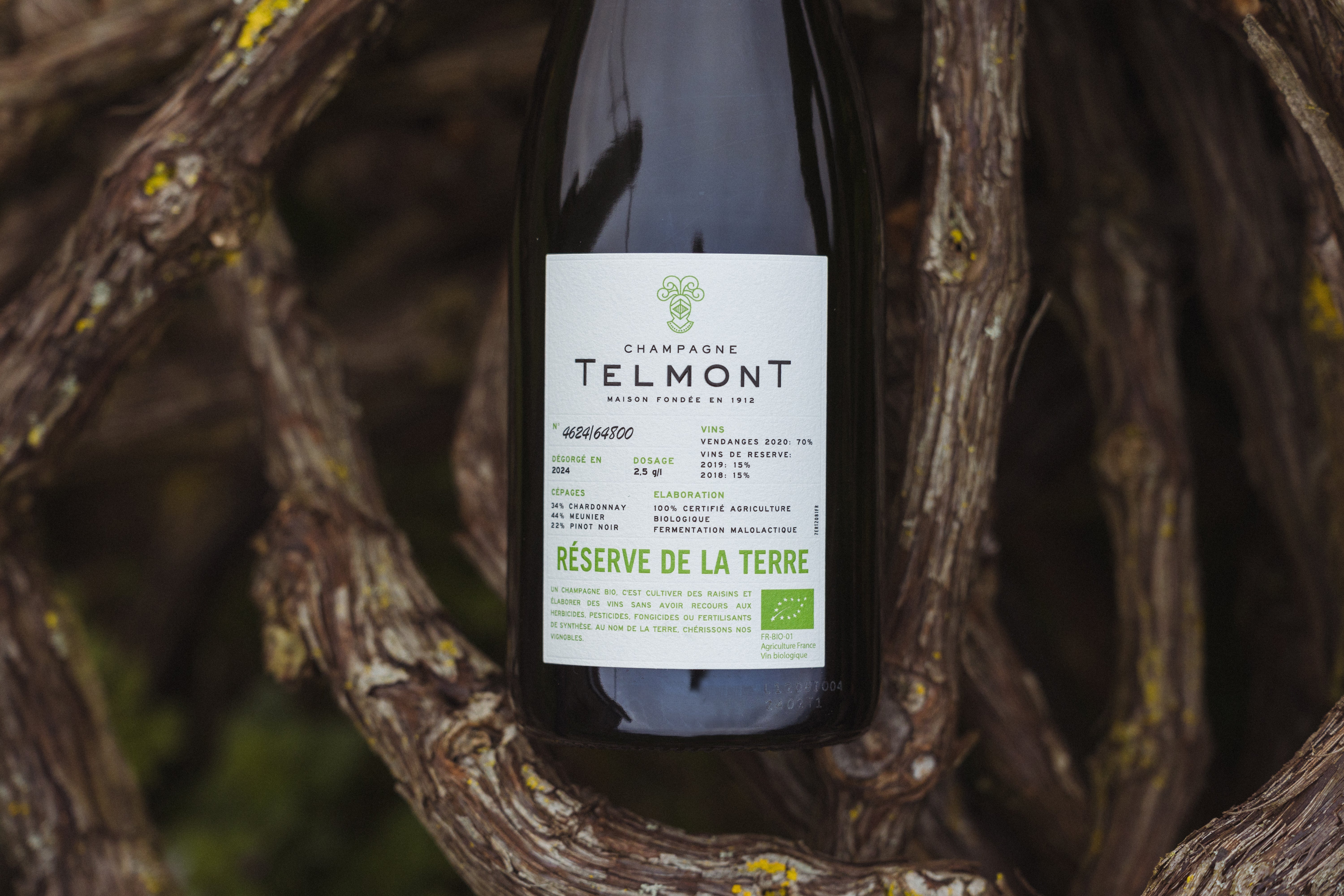 Collection Organic - Champagne Telmont US
