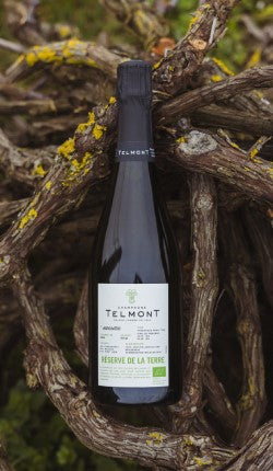 Telmont Réserve Brut: Authentic, Sustainable Champagne House