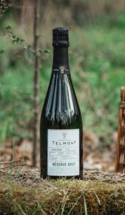 A photo of a bottle of Champagne Reserve Brut in the nature